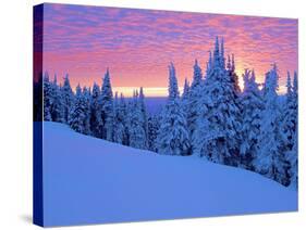 Winter Sunset, Mt Spokane State Park, Washington, USA-Charles Gurche-Stretched Canvas