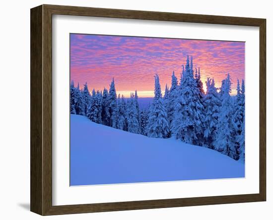 Winter Sunset, Mt Spokane State Park, Washington, USA-Charles Gurche-Framed Premium Photographic Print