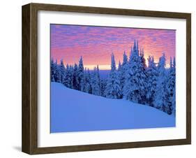 Winter Sunset, Mt Spokane State Park, Washington, USA-Charles Gurche-Framed Premium Photographic Print