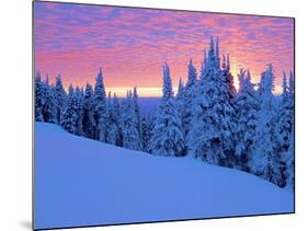Winter Sunset, Mt Spokane State Park, Washington, USA-Charles Gurche-Mounted Photographic Print