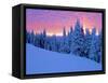 Winter Sunset, Mt Spokane State Park, Washington, USA-Charles Gurche-Framed Stretched Canvas