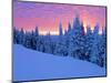 Winter Sunset, Mt Spokane State Park, Washington, USA-Charles Gurche-Mounted Photographic Print