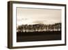 Winter Sunset Sepia II-Alan Hausenflock-Framed Photographic Print