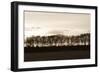 Winter Sunset Sepia II-Alan Hausenflock-Framed Photographic Print