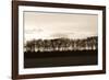 Winter Sunset Sepia II-Alan Hausenflock-Framed Photographic Print