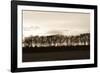 Winter Sunset Sepia II-Alan Hausenflock-Framed Photographic Print