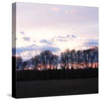 Winter Sunset Square I-Alan Hausenflock-Stretched Canvas