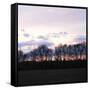 Winter Sunset Square I-Alan Hausenflock-Framed Stretched Canvas