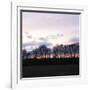 Winter Sunset Square I-Alan Hausenflock-Framed Photographic Print