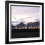 Winter Sunset Square I-Alan Hausenflock-Framed Photographic Print