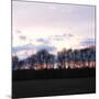 Winter Sunset Square I-Alan Hausenflock-Mounted Photographic Print