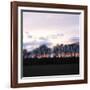 Winter Sunset Square I-Alan Hausenflock-Framed Photographic Print