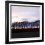Winter Sunset Square II-Alan Hausenflock-Framed Photographic Print