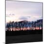 Winter Sunset Square II-Alan Hausenflock-Mounted Photographic Print