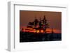 Winter Sunset-EEI_Tony-Framed Photographic Print