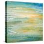 Winter Sunset-Roberto Gonzalez-Stretched Canvas