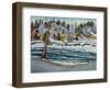Winter Thaw, Gatineau River-Patricia Eyre-Framed Giclee Print