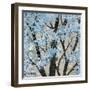 Winter Theme-Helena Alves-Framed Art Print