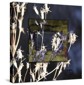 Winter Thistle-Suzanne Silk-Stretched Canvas