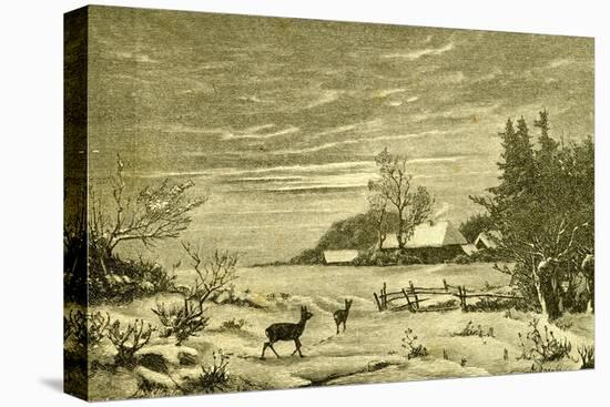 Winter Time Deer Austria 1891-null-Stretched Canvas