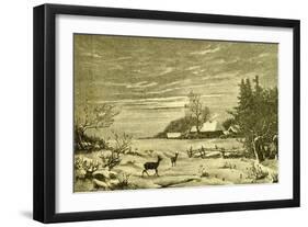 Winter Time Deer Austria 1891-null-Framed Premium Giclee Print
