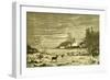 Winter Time Deer Austria 1891-null-Framed Premium Giclee Print