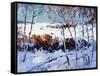 Winter Time-Thomas Hunt-Framed Stretched Canvas