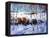 Winter Time-Thomas Hunt-Framed Stretched Canvas