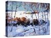 Winter Time-Thomas Hunt-Stretched Canvas