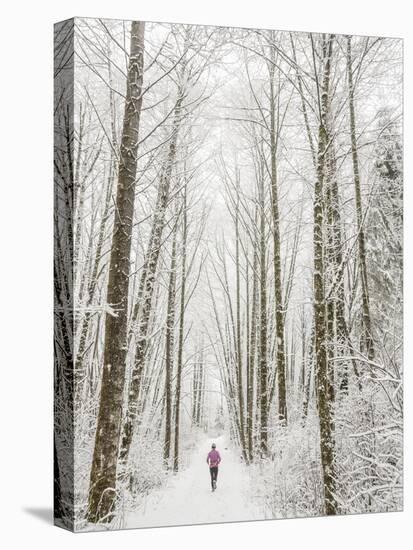 Winter Trail Running-Steven Gnam-Stretched Canvas
