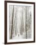 Winter Trail Running-Steven Gnam-Framed Photographic Print