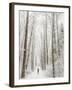 Winter Trail Running-Steven Gnam-Framed Photographic Print