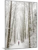 Winter Trail Running-Steven Gnam-Mounted Photographic Print