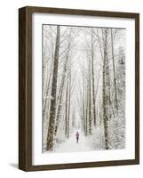 Winter Trail Running-Steven Gnam-Framed Photographic Print