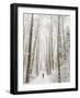 Winter Trail Running-Steven Gnam-Framed Photographic Print