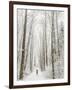 Winter Trail Running-Steven Gnam-Framed Photographic Print