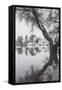 Winter Tree Design, Marin County California-Vincent James-Framed Stretched Canvas