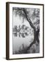 Winter Tree Design, Marin County California-Vincent James-Framed Photographic Print