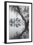 Winter Tree Design, Marin County California-Vincent James-Framed Photographic Print