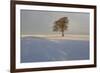 Winter Tree, Gloucestershire, England, UK-Peter Adams-Framed Photographic Print