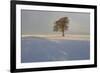 Winter Tree, Gloucestershire, England, UK-Peter Adams-Framed Photographic Print