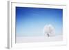 Winter Tree in a Field with Blue Sky-Dudarev Mikhail-Framed Photographic Print