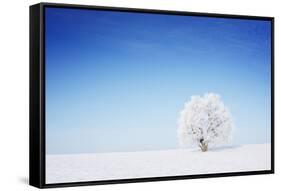 Winter Tree in a Field with Blue Sky-Dudarev Mikhail-Framed Stretched Canvas