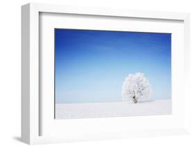 Winter Tree in a Field with Blue Sky-Dudarev Mikhail-Framed Photographic Print