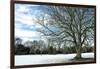 Winter Tree in Snow-Tom Quartermaine-Framed Giclee Print