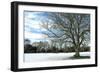 Winter Tree in Snow-Tom Quartermaine-Framed Giclee Print