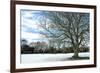 Winter Tree in Snow-Tom Quartermaine-Framed Giclee Print