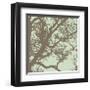 Winter Tree IV-Erin Clark-Framed Giclee Print