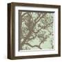 Winter Tree IV-Erin Clark-Framed Giclee Print