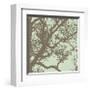 Winter Tree IV-Erin Clark-Framed Giclee Print